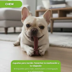 Tootoy! Chew Osso de bamboo para cães