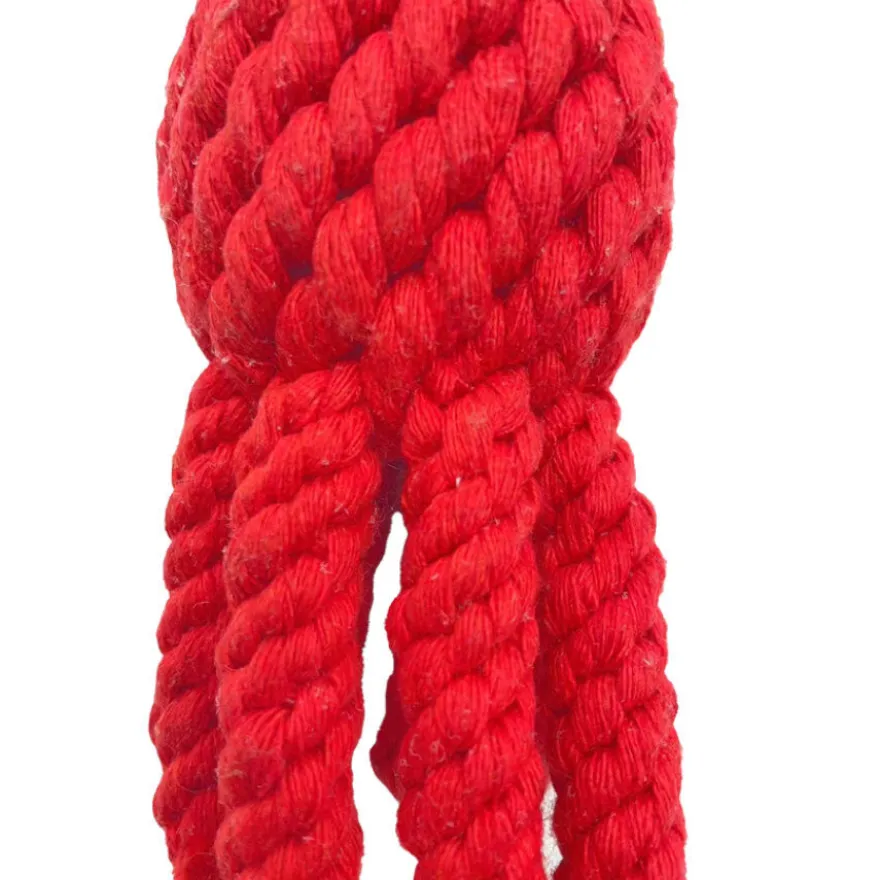 Tootoy! Comfort Octopus & Sea brinquedo com corda para cães