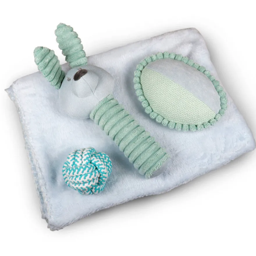 Tootoy! Comfort Pack de Boas Vindas para cachorros