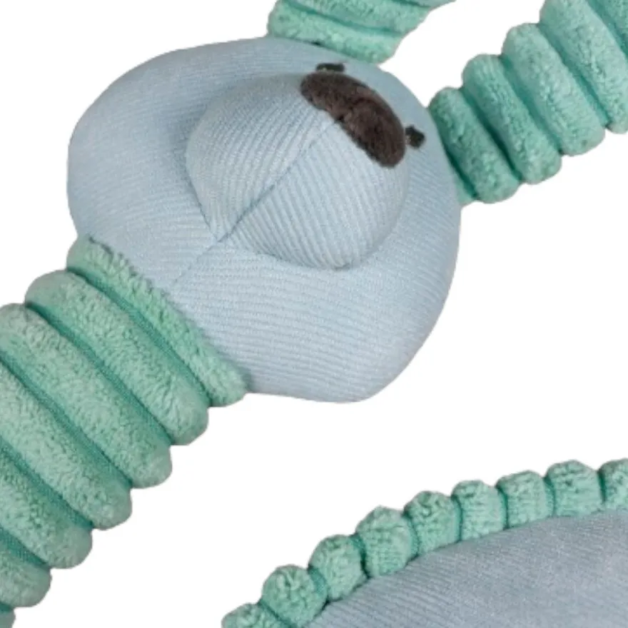 Tootoy! Comfort Pack de Boas Vindas para cachorros