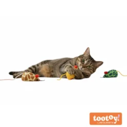 Tootoy! Comfort & Relax Kit ratinhos para gatos
