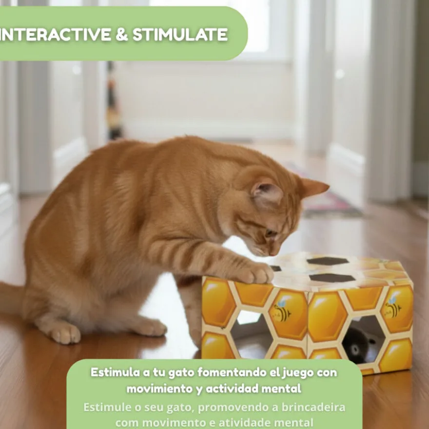 Tootoy! Interactive & Stimulate Brinquedo interativo para gatos