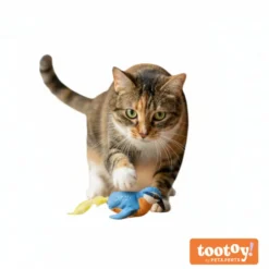 Tootoy! Interactive & Stimulate Pássaro de brinquedo para gatos