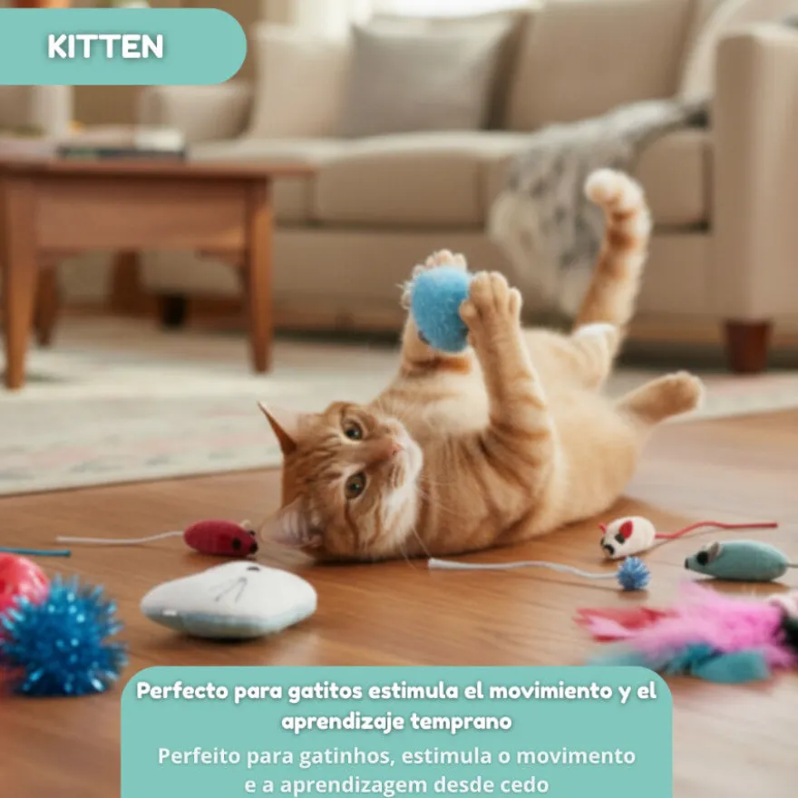 Tootoy! Kitten Caixa de presentes para gatinhos