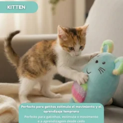 Tootoy! Kitten Peluche Arco-íris para gatos