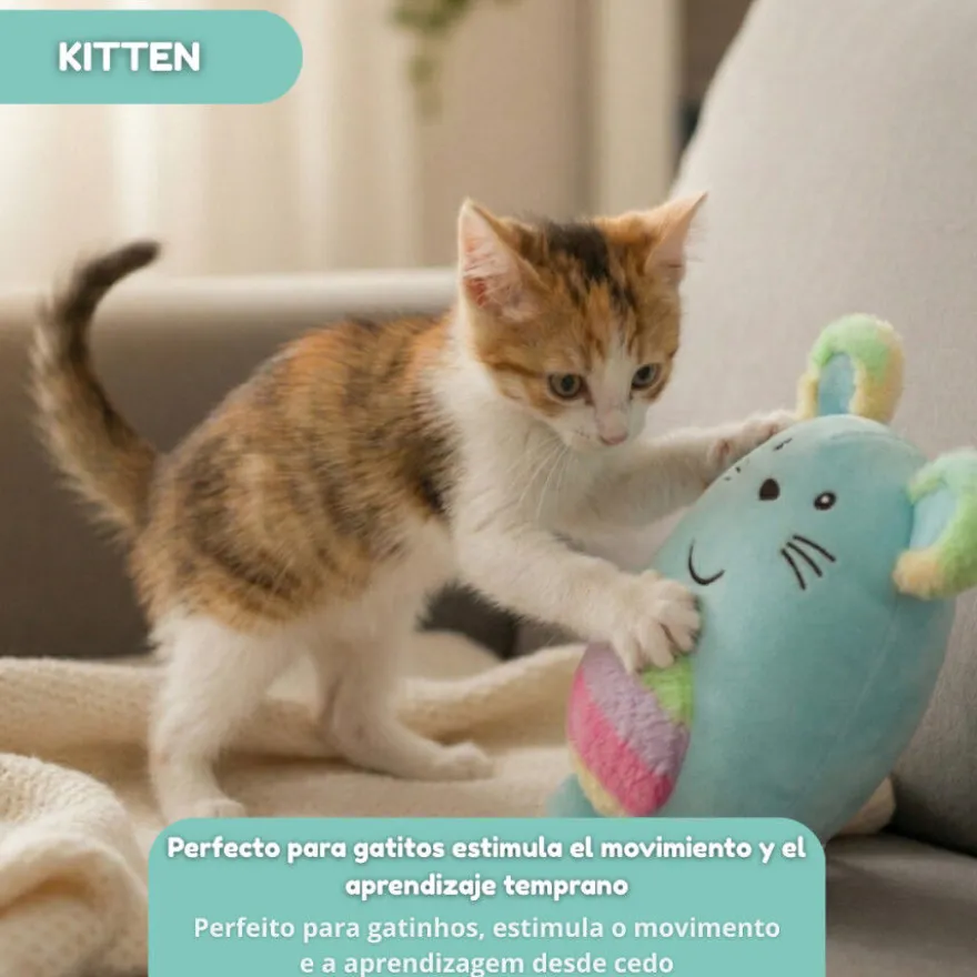 Tootoy! Kitten Peluche Arco-íris para gatos