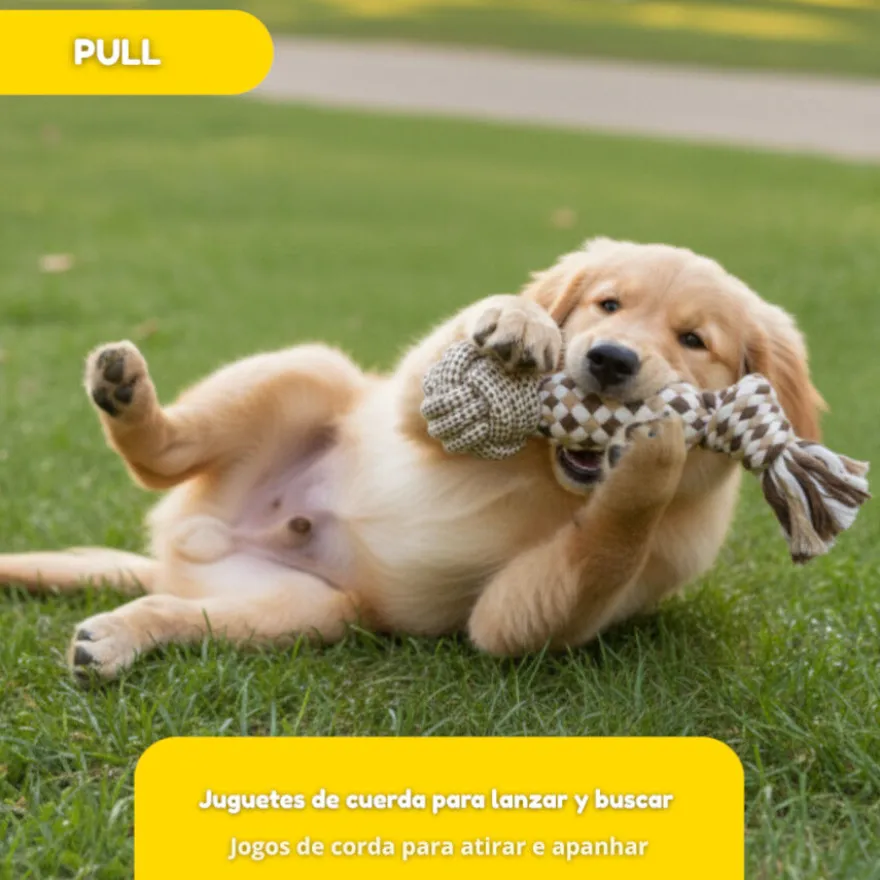 Tootoy! Pull Bola com apito e corda para cães