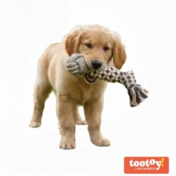 Tootoy! Pull Bola com apito e corda para cães