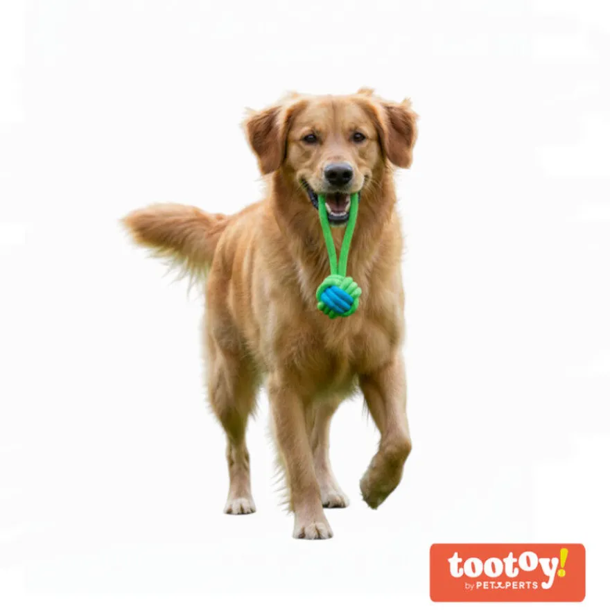Tootoy! Pull Bola de corda com pega para cães