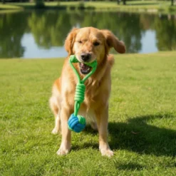 Tootoy! Pull Bola de puxar com corda para cães