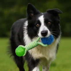 Tootoy! Pull Brinquedo de corda com duas bolas para cães