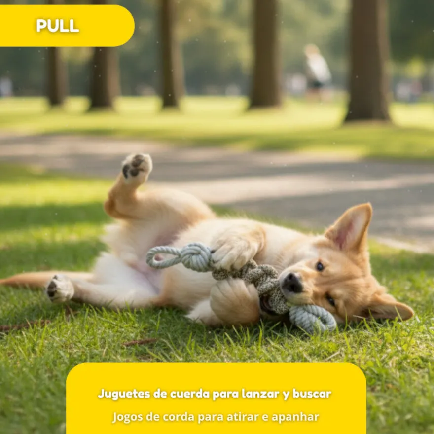 Tootoy! Pull Brinquedo de corda com nó para cães