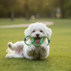 Tootoy! Pull Brinquedo de corda com três nós para cães
