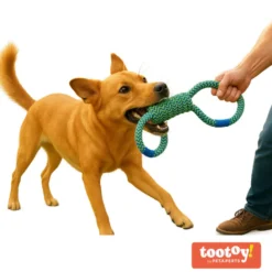 Tootoy! Pull Brinquedo de corda em oito para cães
