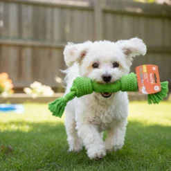 Tootoy! Pull Mordedor corda com apito tamanho médio para cães