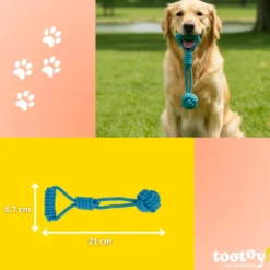 Tootoy! Pull Mordedor corda com bola e pega para cães