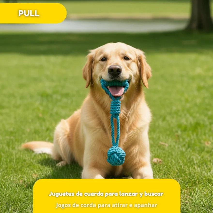Tootoy! Pull Mordedor corda com bola e pega para cães