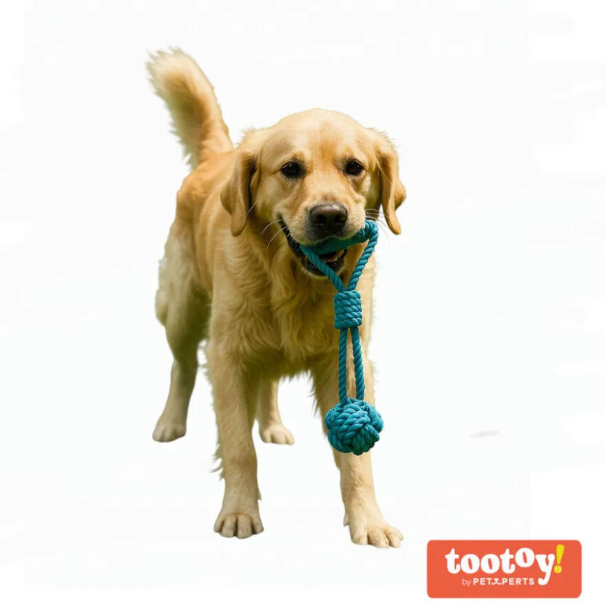 Tootoy! Pull Mordedor corda com bola e pega para cães