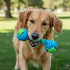 Tootoy! Pull Mordedor de corda com duas bolas para cães