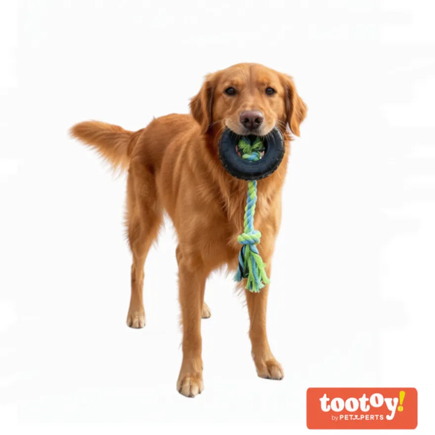 Tootoy! Pull Mordedor pneu de corda pequeno para cães