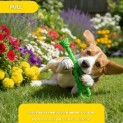 Tootoy! Pull Nó grosso de borracha de brinquedo para cães