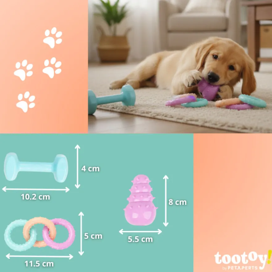 Tootoy! Puppy Caixa de brinquedos para cachorros