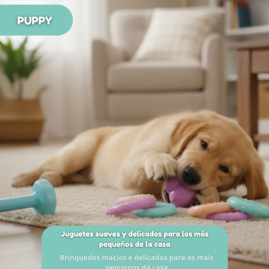 Tootoy! Puppy Caixa de brinquedos para cachorros