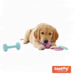 Tootoy! Puppy Caixa de brinquedos para cachorros