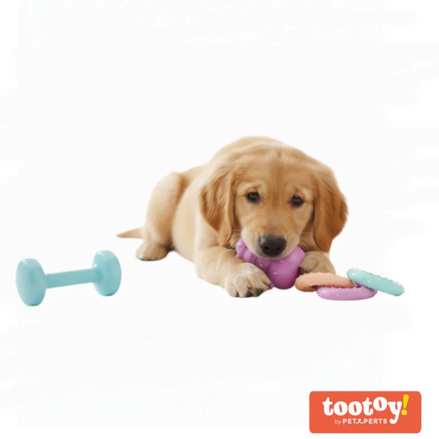Tootoy! Puppy Caixa de brinquedos para cachorros