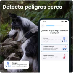 Tractive GPS Dog 6 Rastreador de cães marrom
