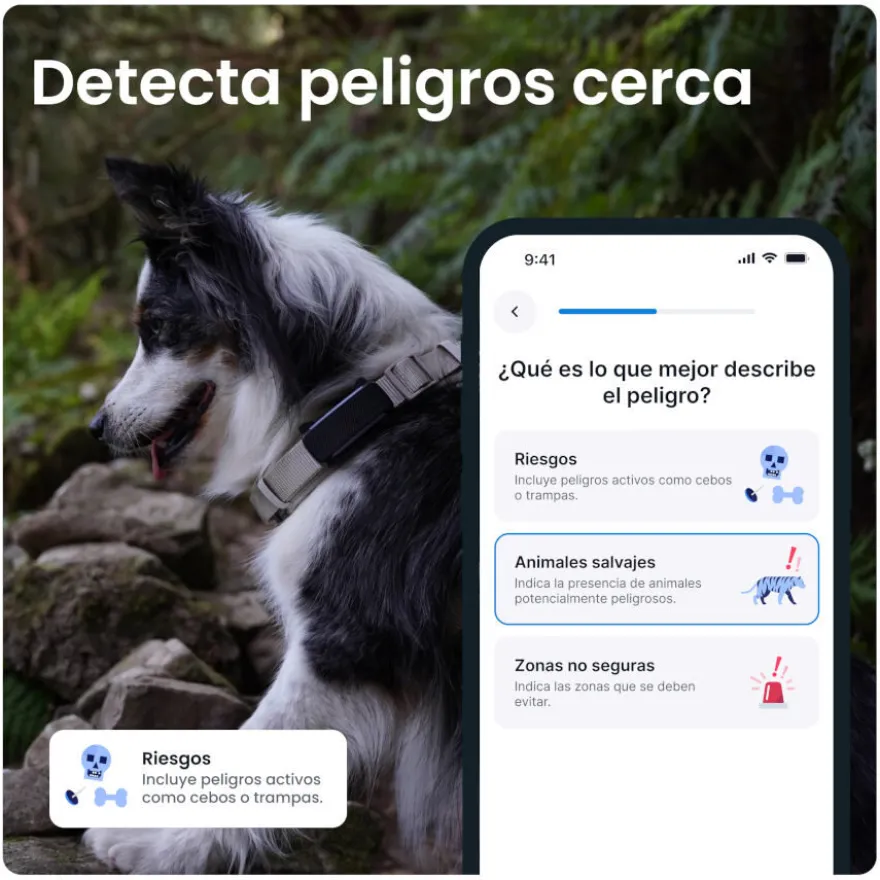 Tractive GPS Dog 6 Rastreador de cães marrom