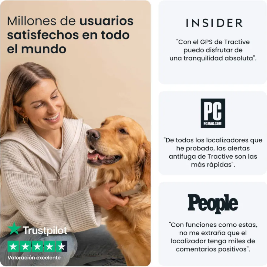 Tractive GPS Dog 6 Rastreador de cães marrom