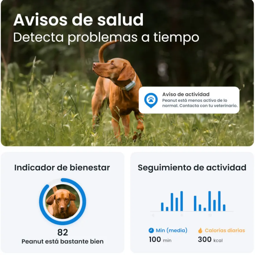 Tractive GPS Dog 6 Rastreador de cães marrom
