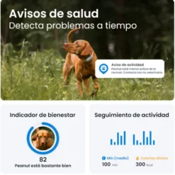 Tractive GPS Dog 6 Rastreador Mint de cães