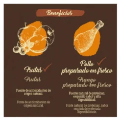 True Origins Adult Pure Frango No Grain ração para cães