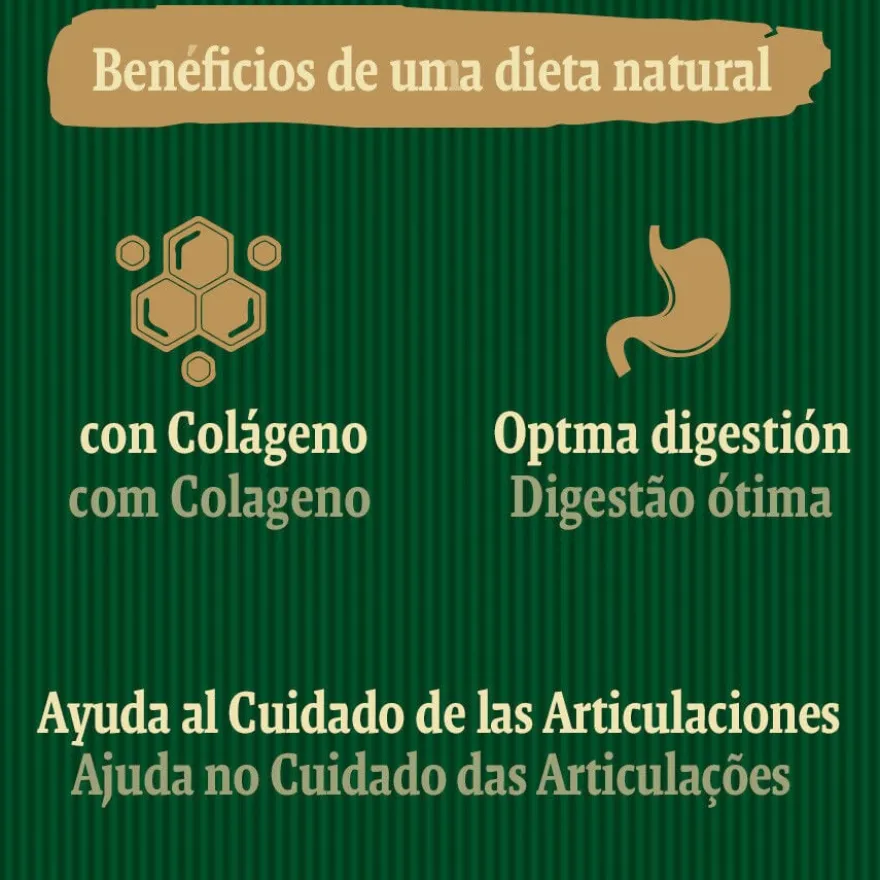 True Origins Joints Chewing Sticks Snack para cães