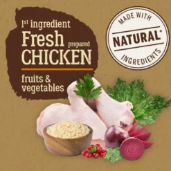 True Origins Pure Adult Frango ração para gatos