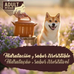 True Origins Pure Adult Gently Coocked Comida húmida de peru e batata em saqueta para cães