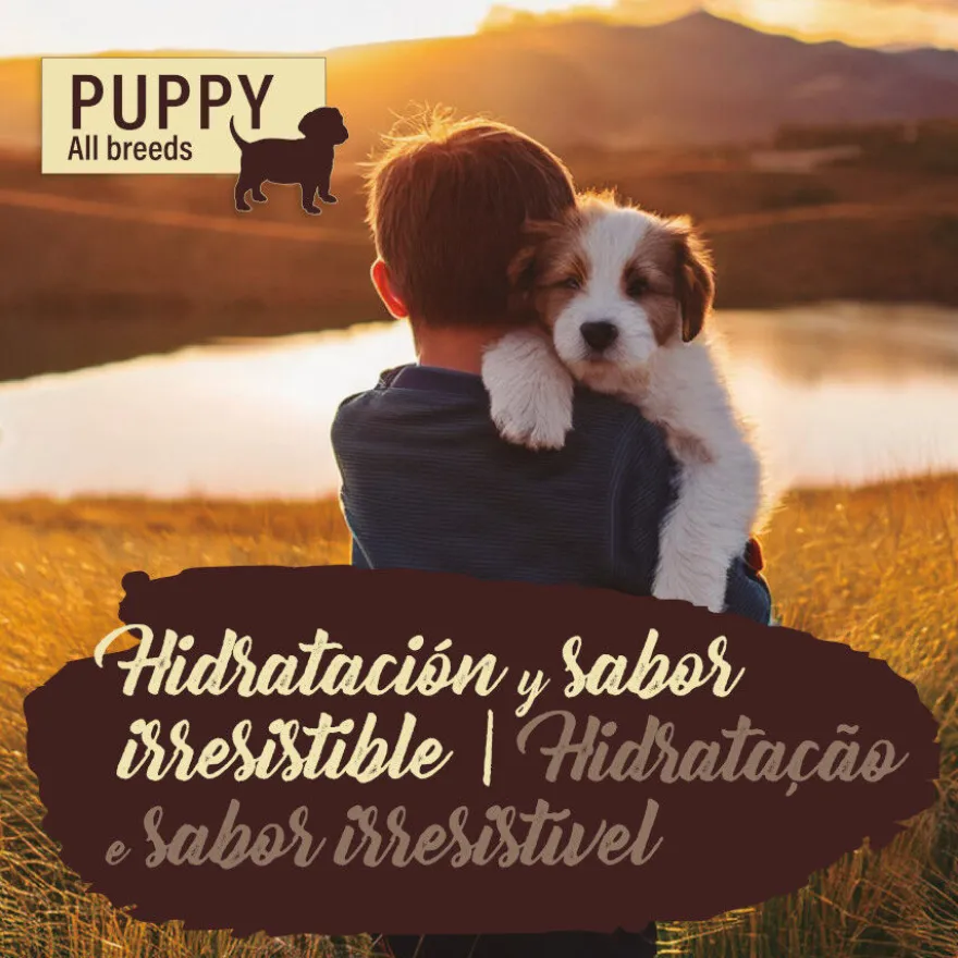 True Origins Pure com Salmão lata para cachorros