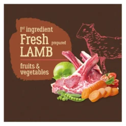 True Origins Pure Grain Free Adult Ração de cordeiro para cães