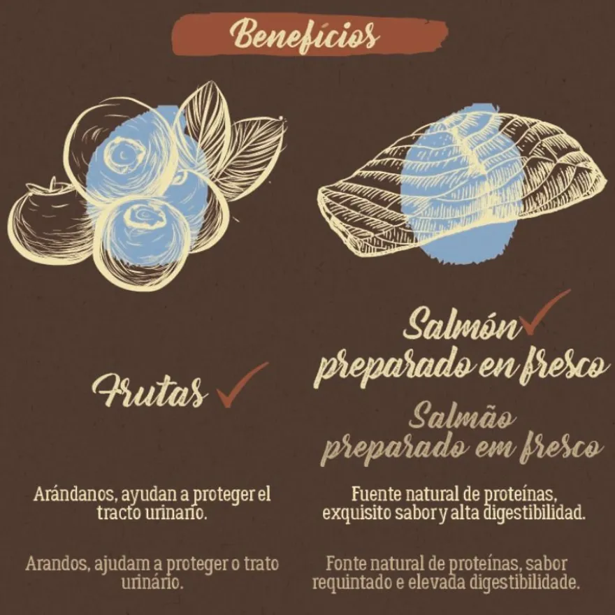 True Origins Pure Kitten Sem grãos Ração para gatos com salmão