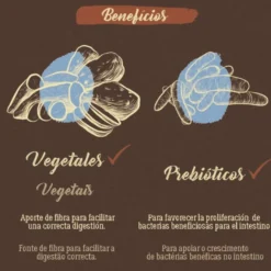 True Origins Pure Kitten Sem grãos Ração para gatos com salmão