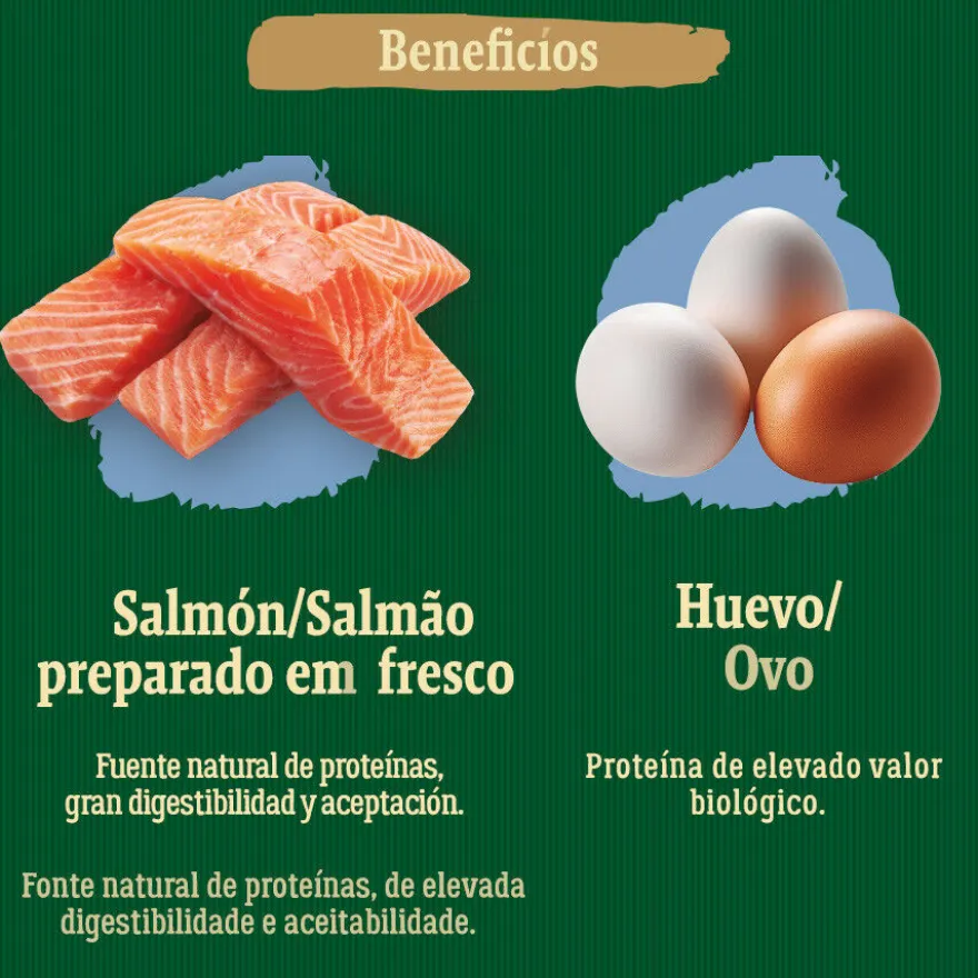 True Origins Wild Adult Pacific Salmão ração para cães