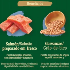 True Origins Wild Adult Pacific Salmão ração para gatos