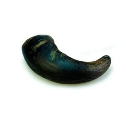 True Origins Wild Chifre de Búfalo Natural para cães