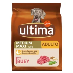 Ultima Adult vaca