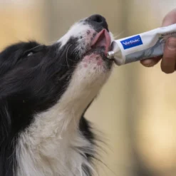 Virbac Nutri-plus Gel Suplemento para cães e gatos