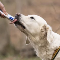 Virbac Nutri-plus Gel Suplemento para cães e gatos