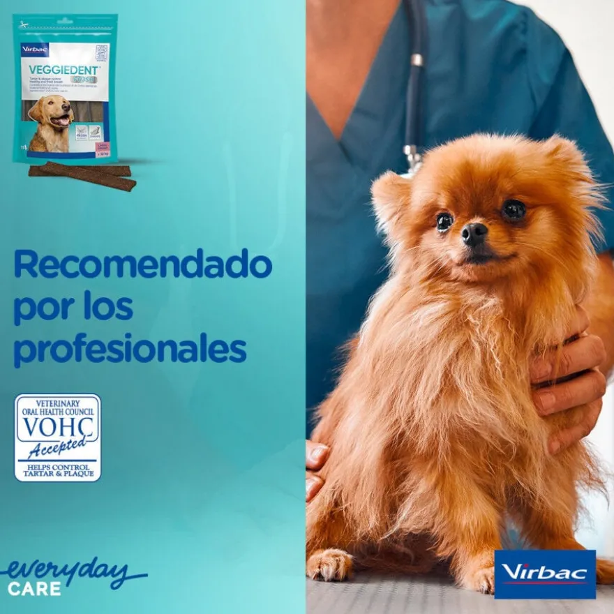 Virbac Snacks Dentários VeggieDent Fresh para cães mini