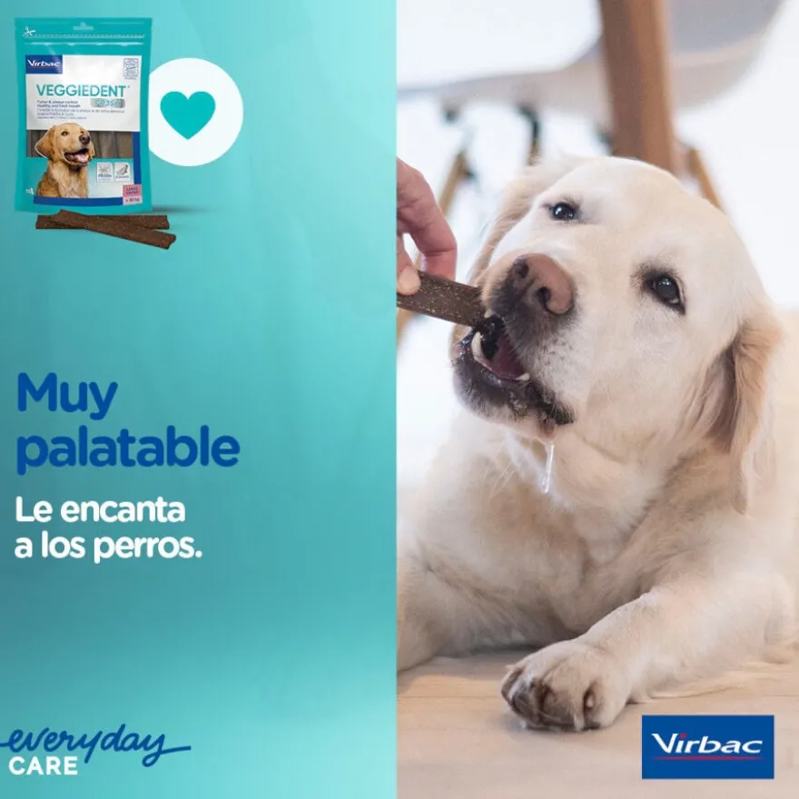 Virbac Snacks Dentários VeggieDent Fresh para cães mini